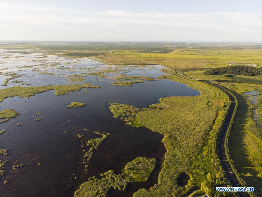 CHINA-HEILONGJIANG-FUJIN-ENVIRONMENT-WETLAND (CN)