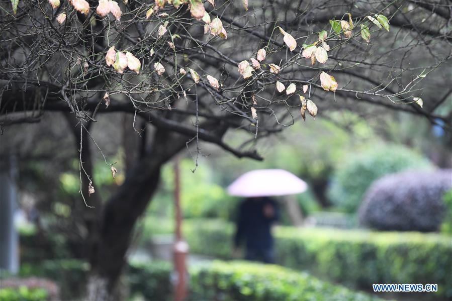 #CHINA-AUTUMN VIEWS (CN)
