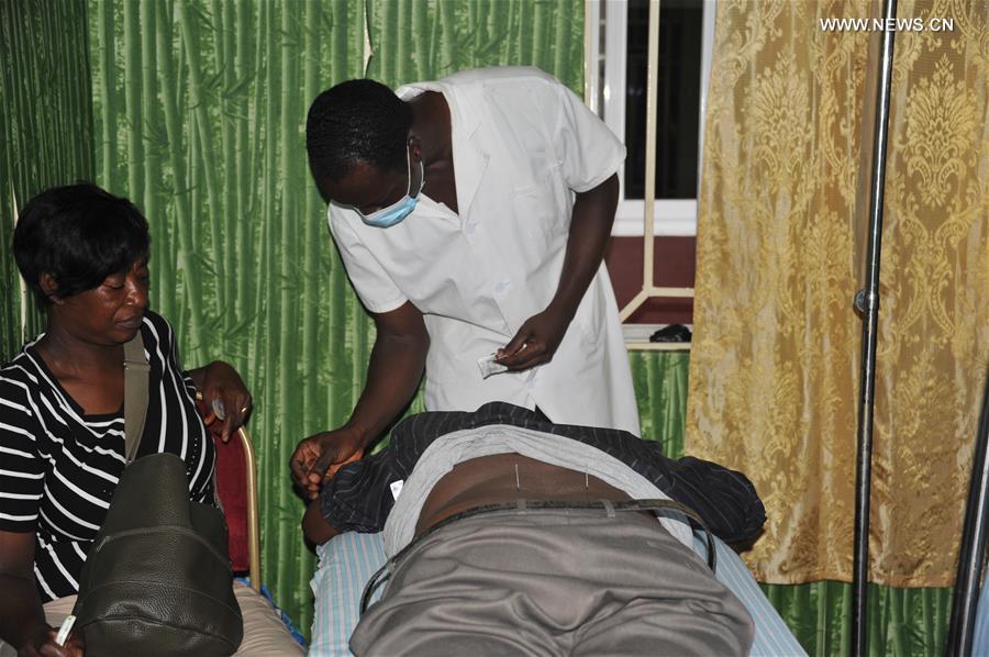 Feature Ghanaian herbal hospital adopts TCM to address local health challengesChina Story