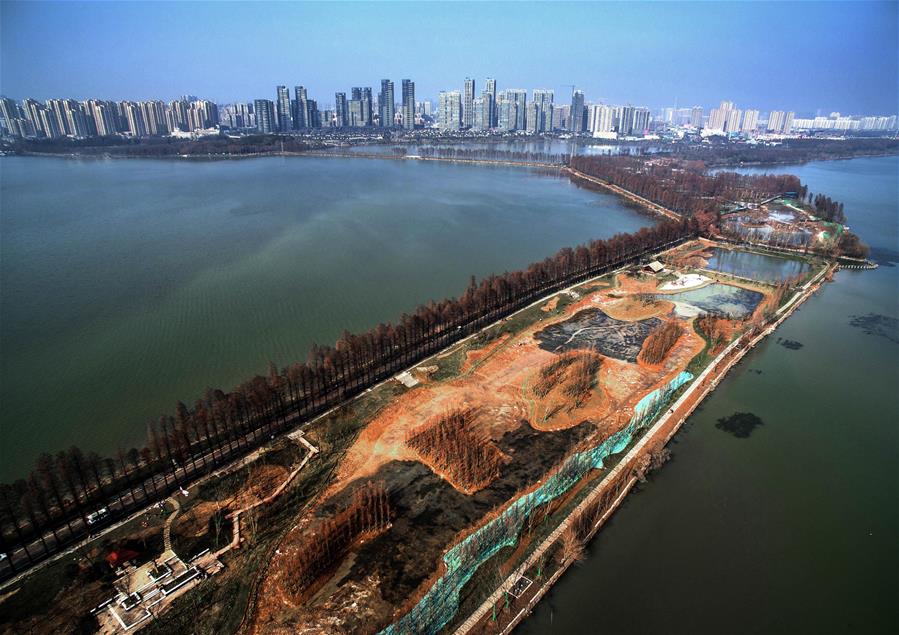 Central China's Wuhan to run for int'l wetland city