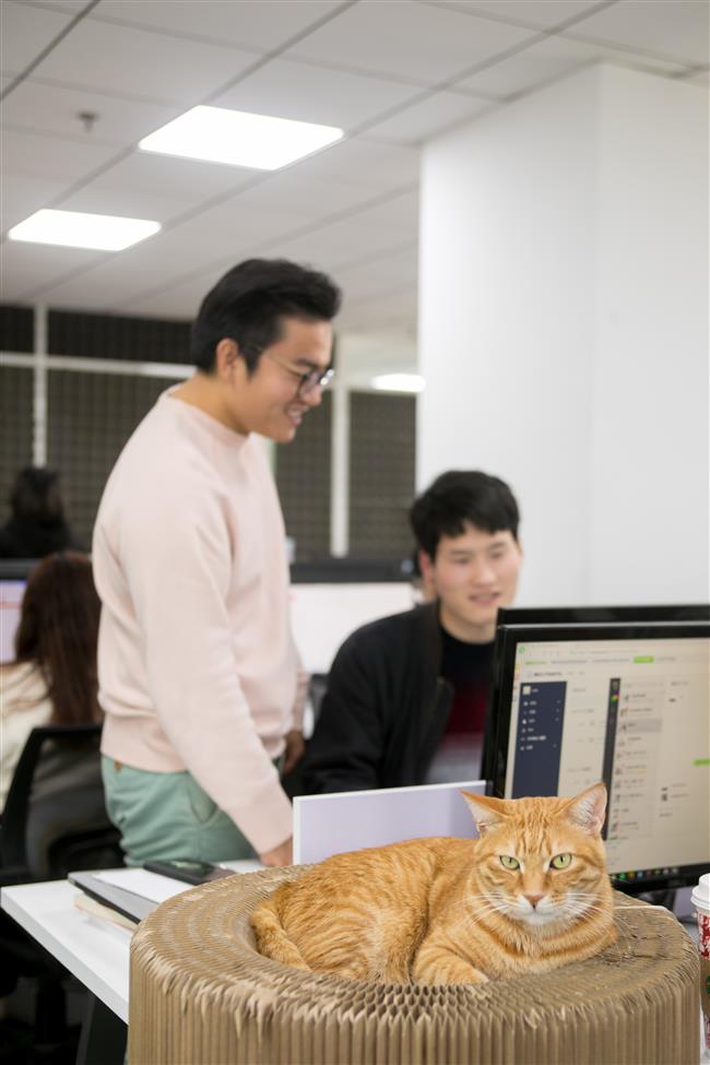 Shanghai Entrepreneurs: The man behind Molly Box