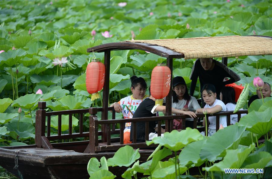 CHINA-LIAONING-WETLAND PARK-LOTUS-BLOSSOM (CN)