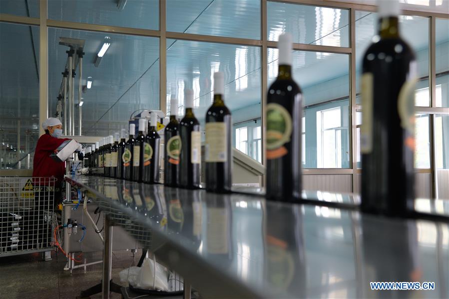 CHINA-INNER MONGOLIA-CHIFENG-GRAPE-INDUSTRY (CN)