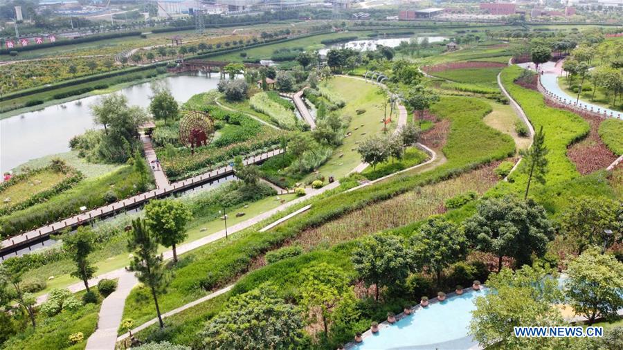 CHINA-GUANGXI-NANNING-WETLAND (CN)