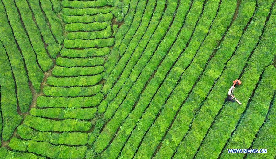 #CHINA-AUTUMN VIEWS (CN)