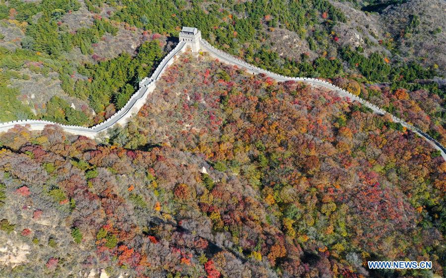 CHINA-BEIJING-BADALING GREAT WALL-AUTUMN VIEW (CN)