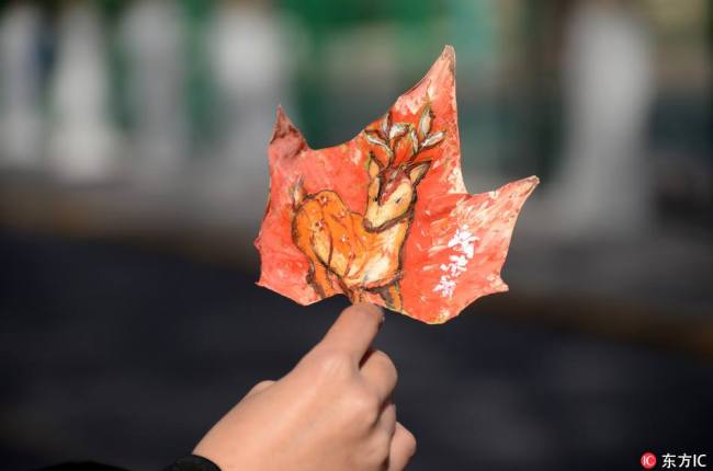 叶子上的“二十四节气”
